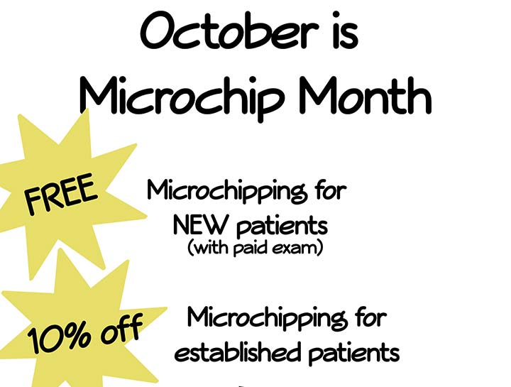 Take Advantage of our October Special!