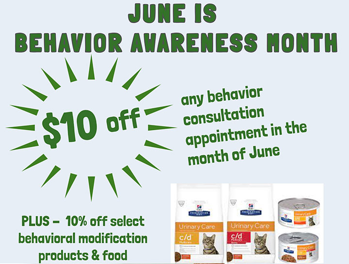 Take Advantage of our June Special!